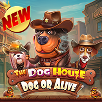 Persentase RTP untuk The Dog House - Dog or Alive oleh Pragmatic Play